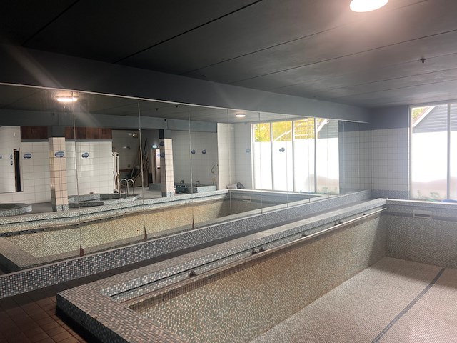 Spiegelwand, platen van 100 cm, spiegel - afbeelding 2 van  4