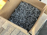 Spijkers - afbeelding 4 van  8