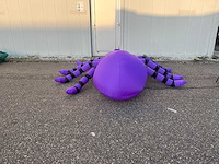 Spin (tarantula) - afbeelding 2 van  5