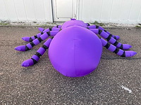 Spin (tarantula) - afbeelding 3 van  5