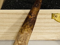 Spinosaurus klauw en tand - afbeelding 3 van  4