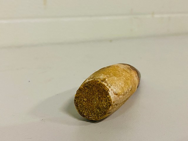 Spinosaurus tand - afbeelding 2 van  7