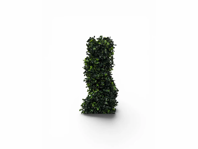 Spiraal buxus (10x) - afbeelding 5 van  8