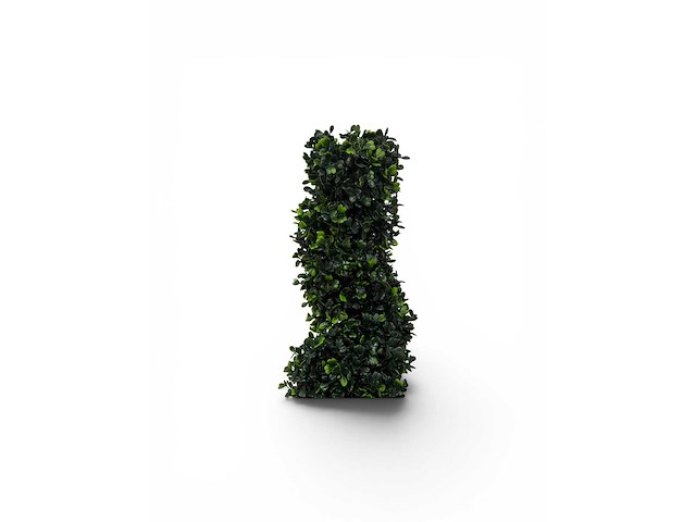 Spiraal buxus (20x) - afbeelding 5 van  8