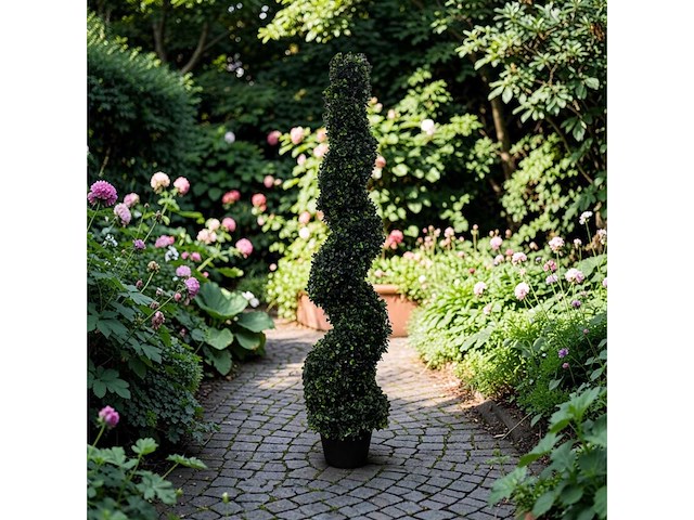 Spiraal buxus (40x) - afbeelding 1 van  8