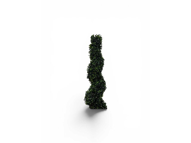 Spiraal buxus (40x) - afbeelding 4 van  8