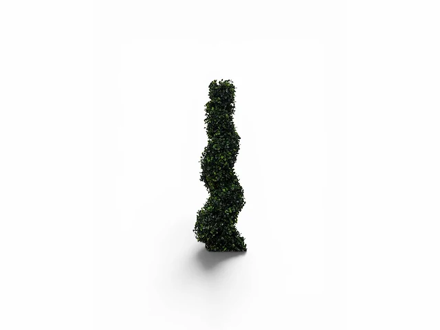 Spiraal buxus (4x) - afbeelding 4 van  8