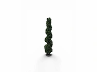 Spiraal buxus (4x) - afbeelding 2 van  8