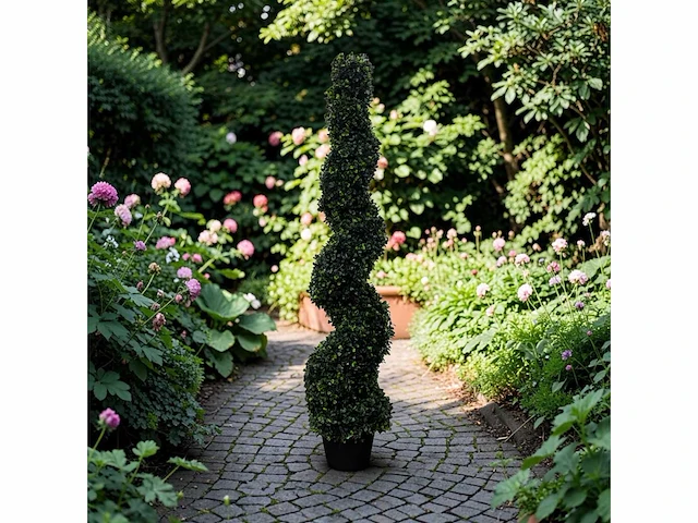 Spiraal buxus (4x) - afbeelding 1 van  8