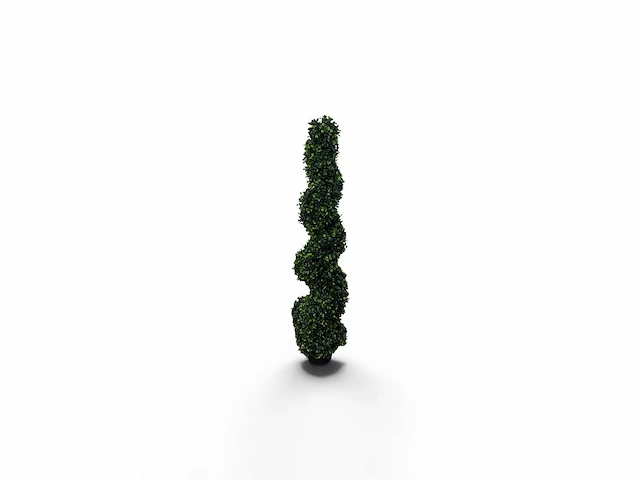 Spiraal buxus (4x) - afbeelding 2 van  8