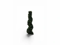 Spiraal buxus (4x) - afbeelding 4 van  8