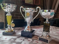 Sport bekers judo aantal 6 stuks.