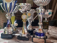 Sport bekers judo aantal 6 stuks. - afbeelding 6 van  7