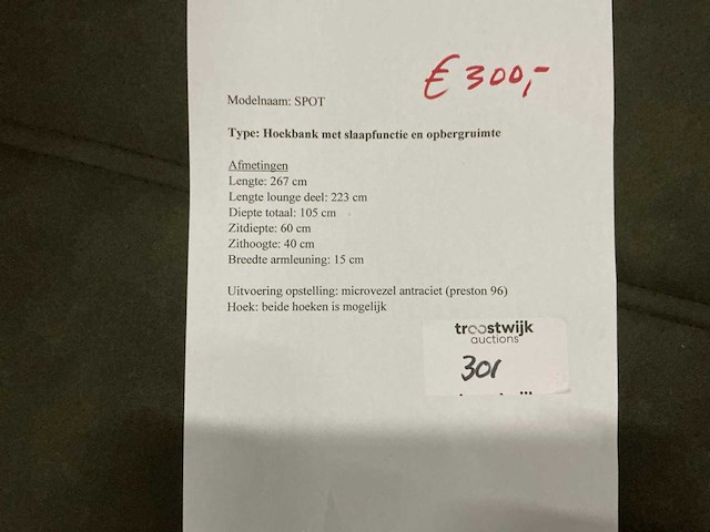 Spot hoekbank met slaap/opbergruimte - afbeelding 6 van  6