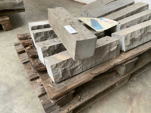 Spotted blue stone pallisade (10x) - afbeelding 2 van  4