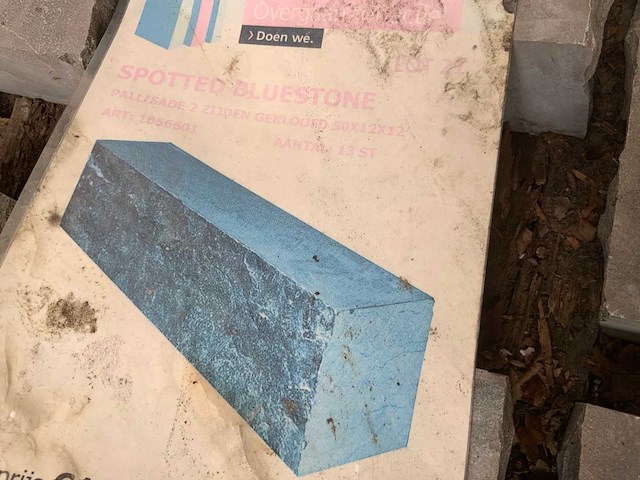 Spotted blue stone pallisade (10x) - afbeelding 3 van  4