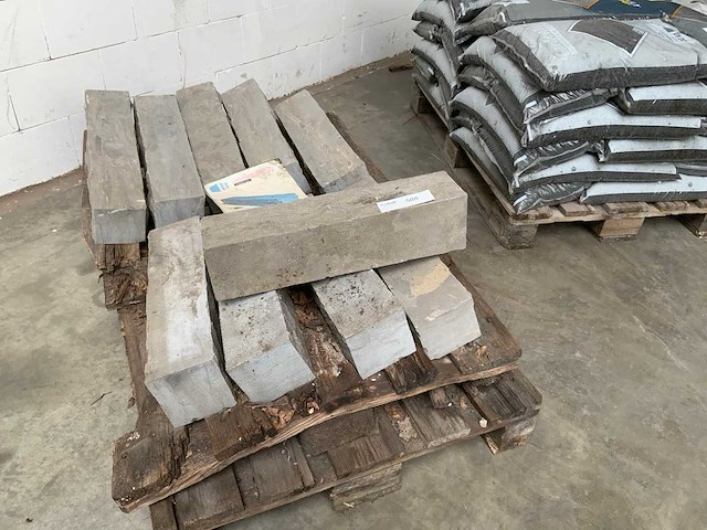 Spotted blue stone pallisade (10x) - afbeelding 4 van  4
