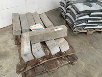 Spotted blue stone pallisade (10x) - afbeelding 4 van  4