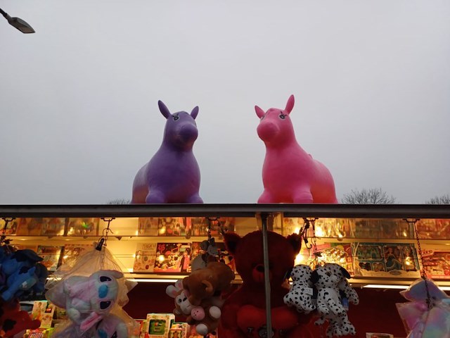 Spring dier rose 1 stuks word leeg geleverd in ds 33 o13 - afbeelding 3 van  5