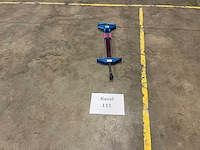 Springveer - afbeelding 1 van  1