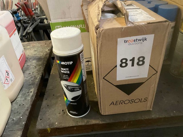 Spuitbussen verf en epoxyhars - afbeelding 2 van  8