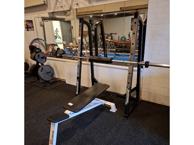 Squatrek met halterrek en fitnessbank o.a. powerhouse - afbeelding 12 van  15