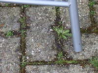 Sta tafels -2 stuks - afbeelding 5 van  7