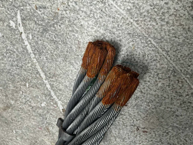 Staalborstel (2x) - afbeelding 4 van  5
