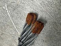 Staalborstel (2x) - afbeelding 4 van  5
