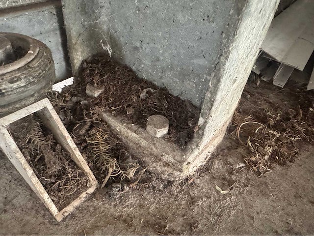 Staalconstructie (20,00x40,84 mtr) (791 m2) - afbeelding 22 van  32