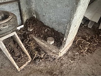 Staalconstructie (20,00x40,84 mtr) (791 m2) - afbeelding 22 van  32