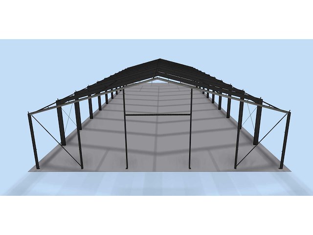 Staalconstructie 20x55 meter (ca. 1.100 m2) (zware uitvoering) - afbeelding 2 van  10