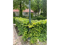 Staande buitenlamp (5x) - afbeelding 1 van  4