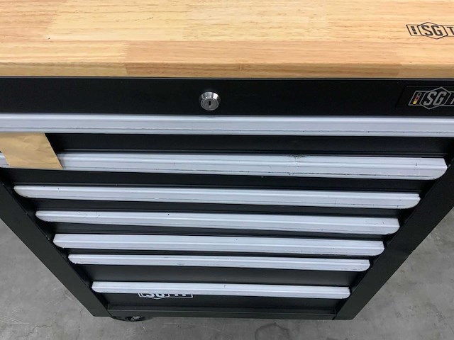 Stahlgruppe sg11 gereedschapswagen 258 delig - afbeelding 6 van  14