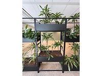 Stalen divider met planten 400cm - afbeelding 2 van  2