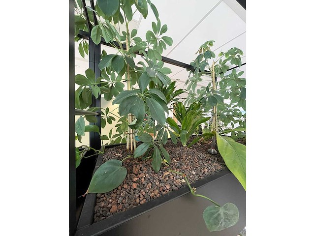Stalen divider met planten 400cm - afbeelding 8 van  14
