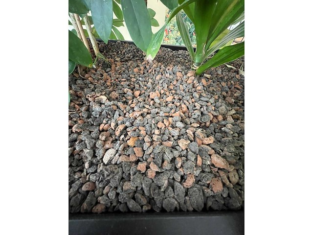 Stalen divider met planten 400cm - afbeelding 10 van  14