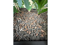 Stalen divider met planten 400cm - afbeelding 10 van  14