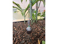 Stalen divider met planten 400cm - afbeelding 11 van  14