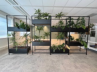 Stalen divider met planten 400cm - afbeelding 2 van  14