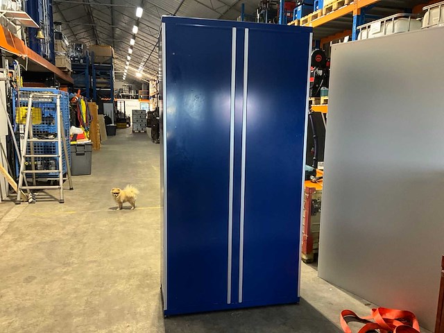 Stalen dubbele deur opslagkast - afbeelding 3 van  6