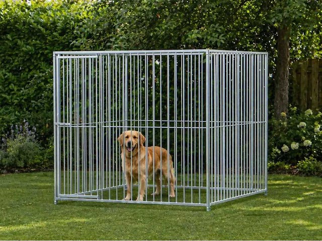 Stalen hondenkennel verzinkt - 200x200x184 cm - afbeelding 1 van  6