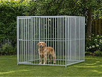 Stalen hondenkennel verzinkt - 200x200x184 cm - afbeelding 1 van  6