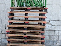 Stalen stapelframe op houten pallet - 3 stuks - afbeelding 4 van  4