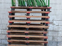 Stalen stapelframe op houten pallet - 3 stuks - afbeelding 4 van  4