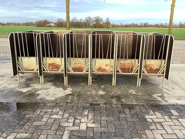 Stalinrichting - kalveren - afbeelding 1 van  4