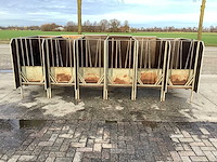 Stalinrichting - kalveren - afbeelding 1 van  4