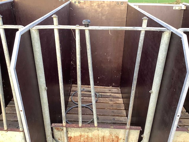 Stalinrichting - kalveren - afbeelding 2 van  4