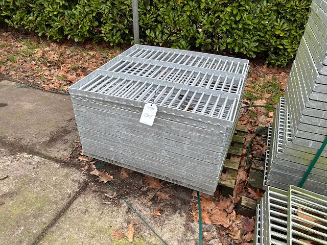 Stalrooster (13x) - afbeelding 1 van  4