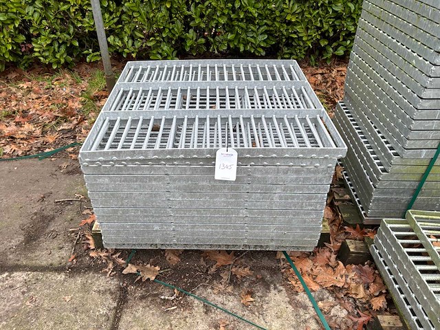 Stalrooster (13x) - afbeelding 2 van  4